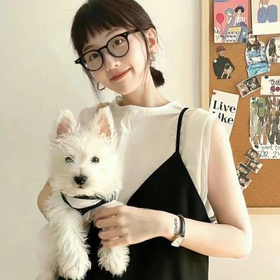 飞燕迎春